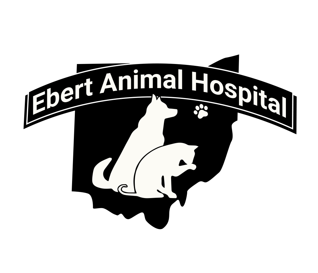 Animal Hospital | Ebert Animal Hospital in Youngstown, OH